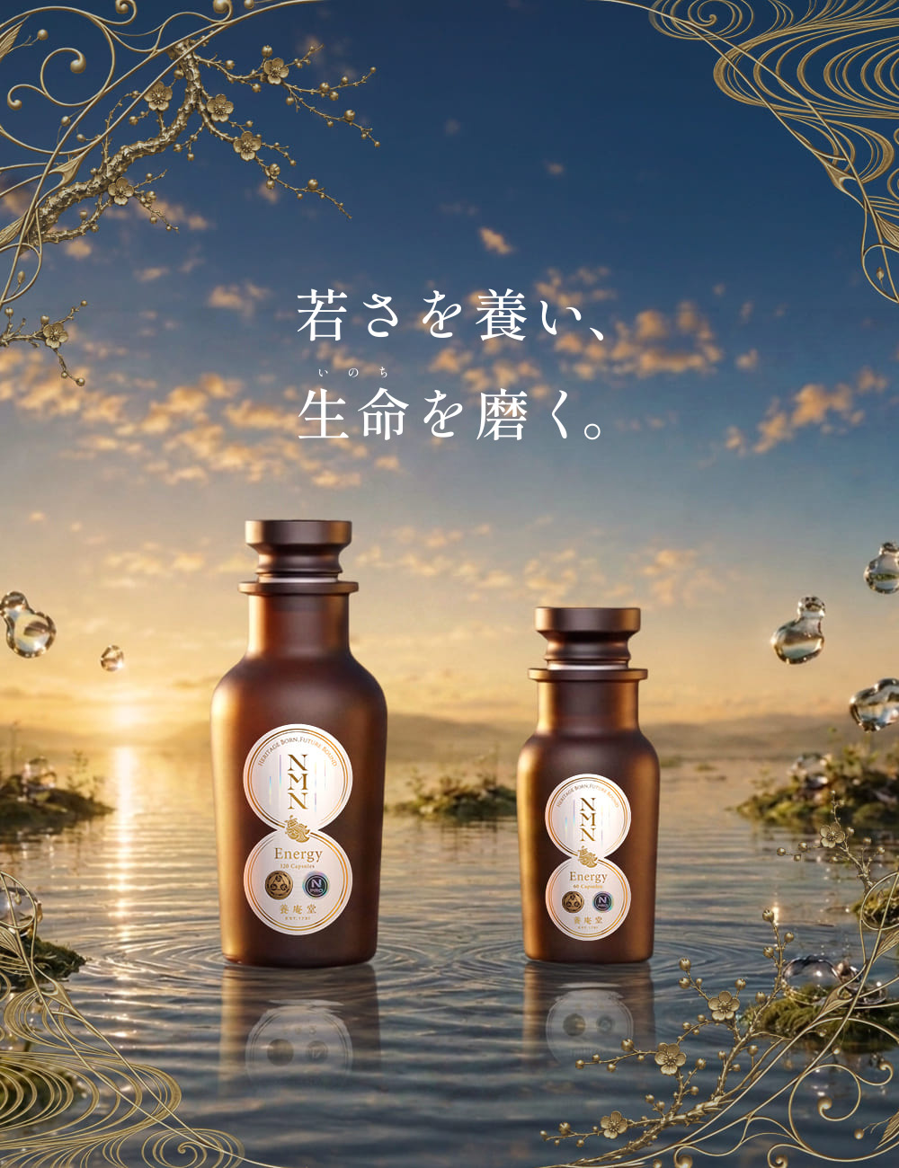 NMNの養庵堂 【阿部養庵堂薬品 公式ショップ】