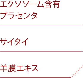 エクソソーム含有プラセンタ サイタイ 羊膜エキス