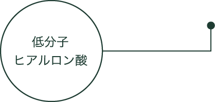 低分子ヒアルロン酸
