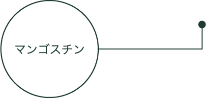マンゴスチン