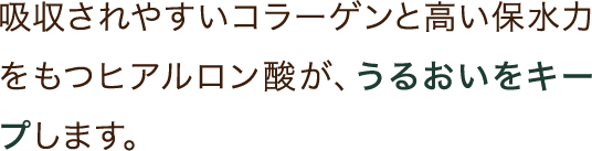 吸収されやすいコラーゲンと高い保水力をもつヒアルロン酸が、うるおいをキープします。