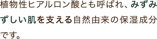 植物性ヒアルロン酸とも呼ばれ、みずみずしい肌を支える自然由来の保湿成分です。