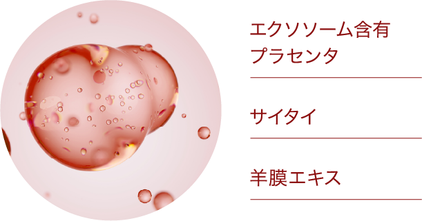 エクソソーム含有プラセンタ サイタイ 羊膜エキス