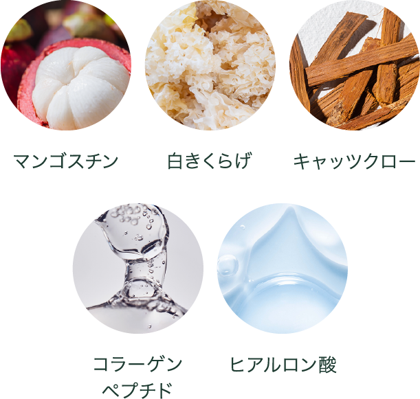 マンゴスチン 白きくらげ キャッツクロー コラーゲンペプチド ヒアルロン酸