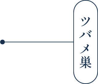 ツバメ巣