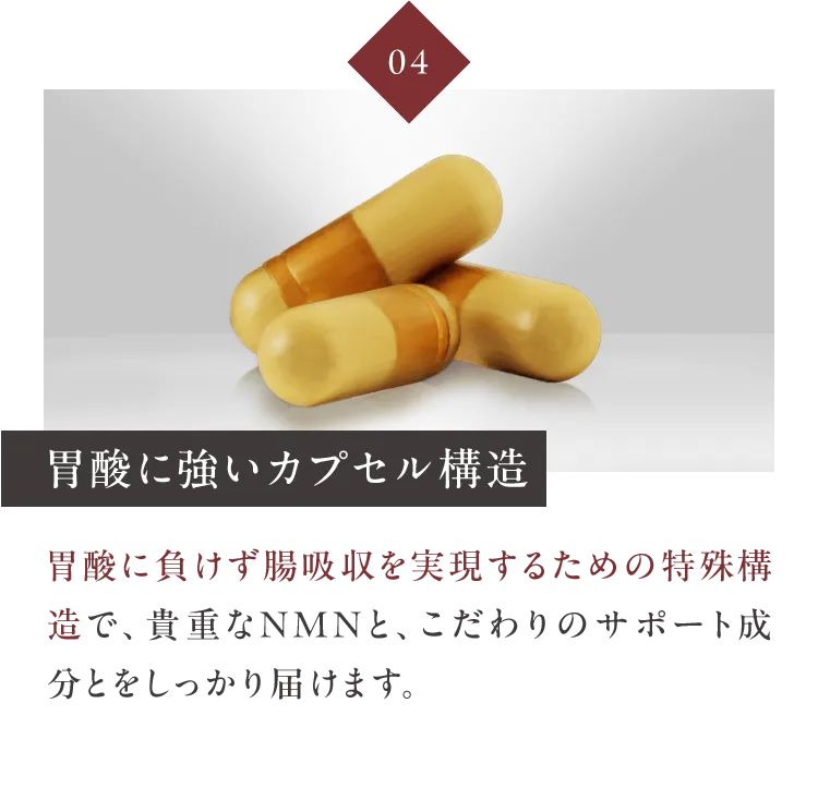 04胃酸に強いカプセル構造 胃酸に負けず腸吸収を実現するための特殊構造で、貴重なNMNと、こだわりのサポート成分とをしっかり届けます。