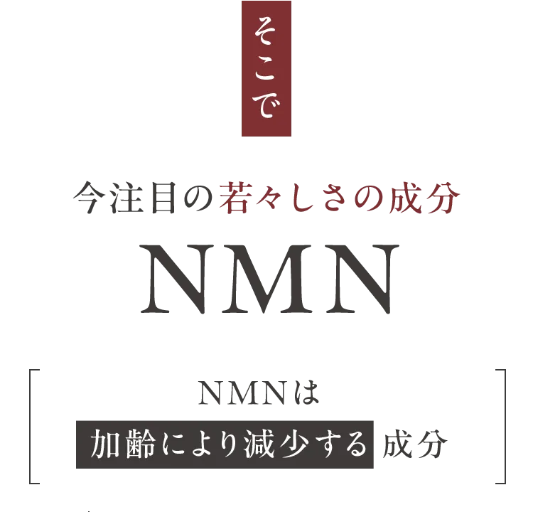 そこで今注目の若々しさの成分NMN　NMNは加齢により減少する成分