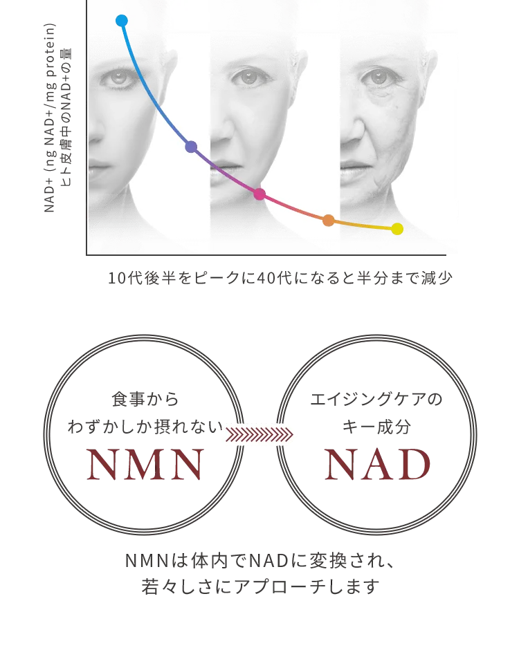 NAD+ (ng NAD+/mg protein)ヒト皮膚中のNAD+の量　10代後半をピークに40代になると半分まで減少　食事からわずかしか摂れないNMN　エイジングケアの	キー成分NAD　NMNは体内でNADに変換され、若々しさにアプローチします