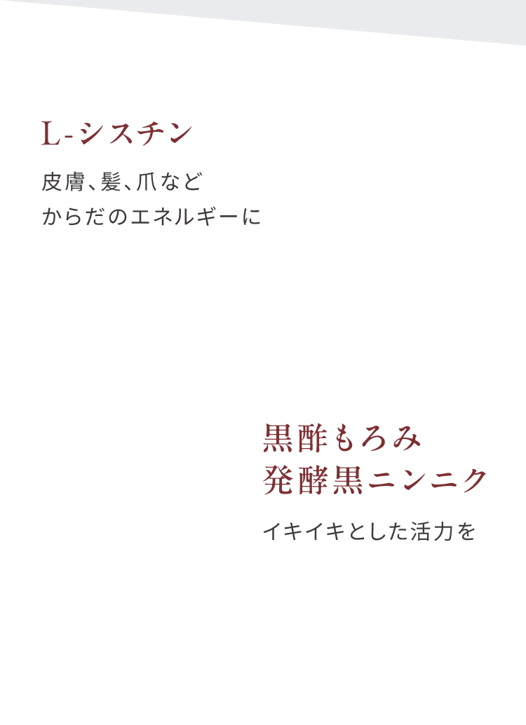 L-シスチン皮膚、髪、爪などからだのエネルギーに 黒酢もろみ発酵黒ニンニクイキイキとした活力を